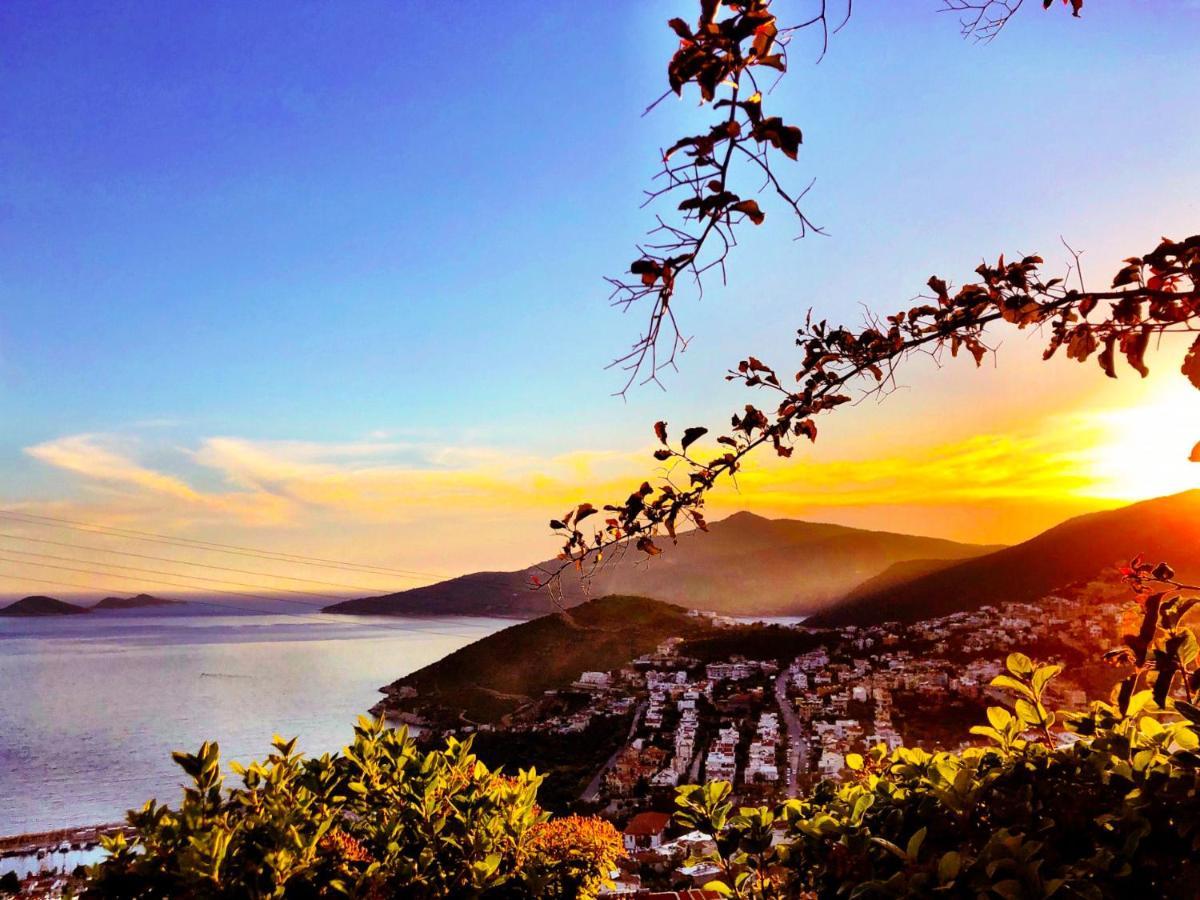 Villa Valo Kalkan Eksteriør bilde
