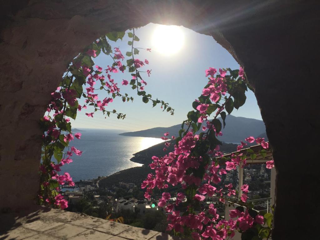 Villa Valo Kalkan Eksteriør bilde