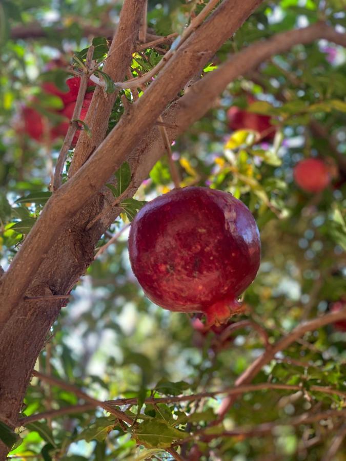Villa Valo Kalkan Eksteriør bilde