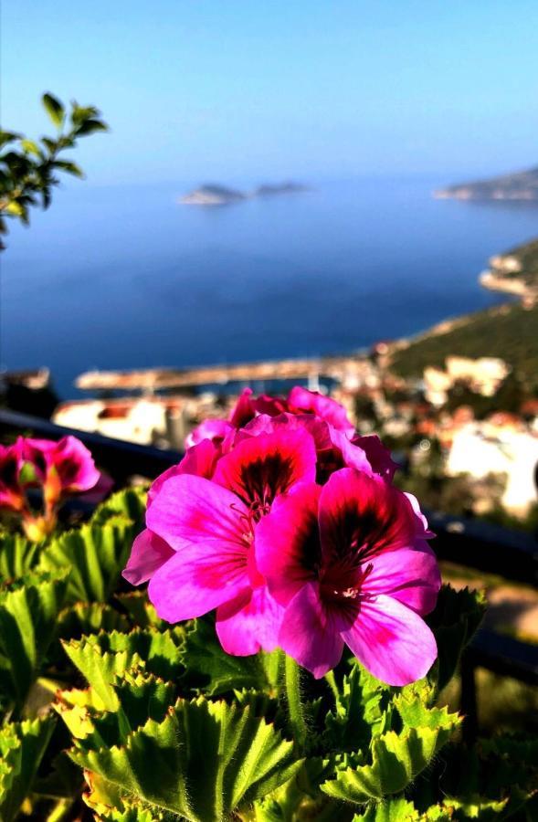 Villa Valo Kalkan Eksteriør bilde