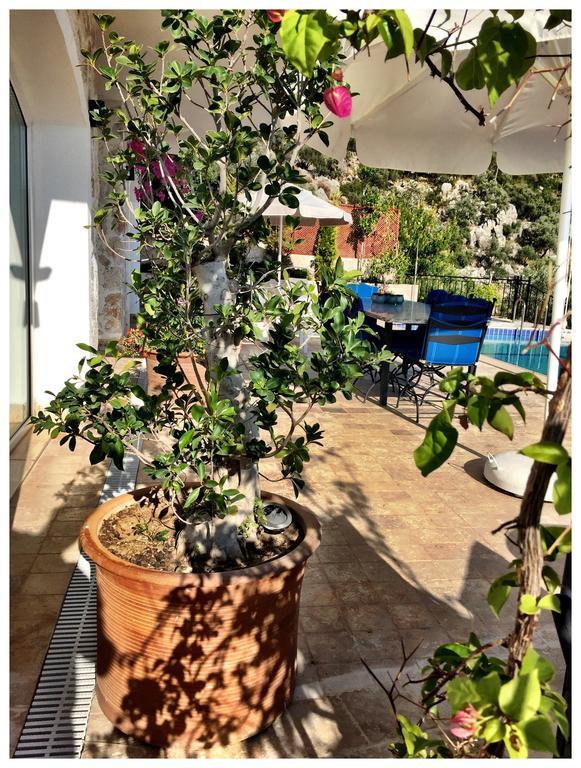 Villa Valo Kalkan Rom bilde