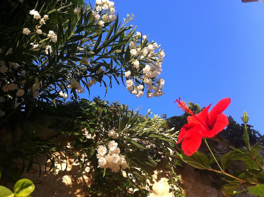 Villa Valo Kalkan Rom bilde